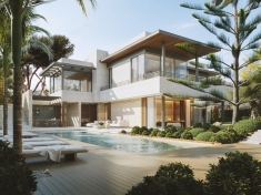 294792.jpg