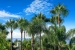 BCEABP658_25473_V0_8615.jpg